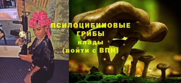 ПСИЛОЦИБИНОВЫЕ ГРИБЫ Балахна