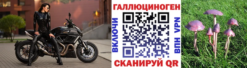 Галлюциногенные грибы Psilocybe Кемерово